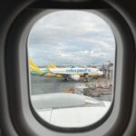 Manila to Davao Cebu Pacific A330neo