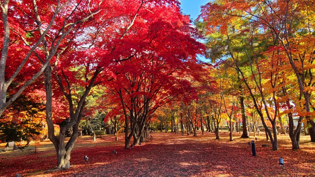 Hokkaido in Autumn