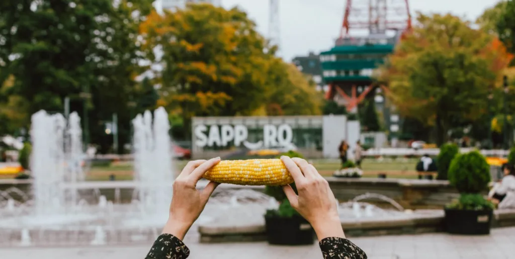 Hokkaido in Autumn